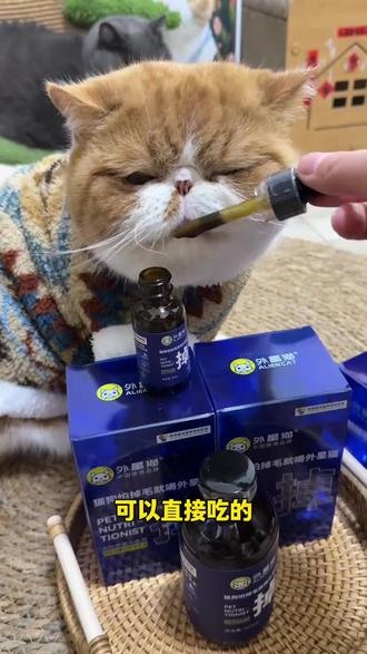 【猫狗必备】外星猫赛级防掉毛油,外星猫鱼油,改善猫狗掉毛美毛D-生物素猫狗通用#外星猫 #外星猫鱼油#宠物鱼油 #猫咪防掉毛鱼油 #猫狗鱼油