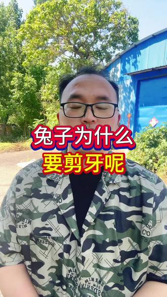 兔子为什么要剪牙#养兔#养兔人#肉兔养殖 #种兔养殖 #兔子