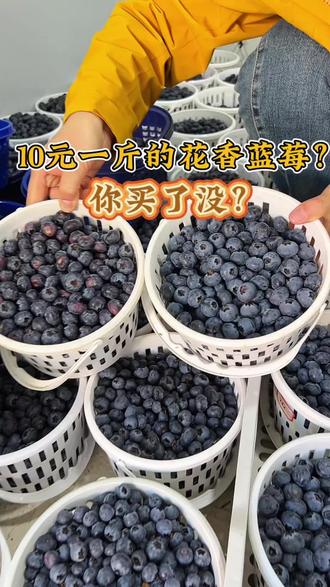 10元一斤的花香蓝莓去哪里了? 次果跟精选优质蓝莓的区别#送礼佳品 #蓝莓#好吃到停不下来
