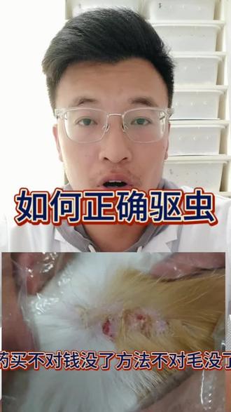 终结吧,五花八门的驱虫意外。#兽医 #科学养宠攻略