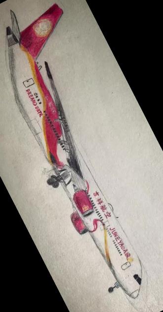 吉祥航空,还差一个尾标。🥳
#吉祥航空 #画飞机 #波音787 #波音787梦想客机 #手搓飞机