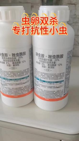 快递10号就停运,还有最后三天,过年正是打药的关键时刻,所以有需要抓紧购买,错过就要等年后了#果树杀虫#柑橘杀虫剂#柑橘虫害#柑橘管理#柑橘打药@抖音创作小助手 @DOU+小助手 @抖音小助手