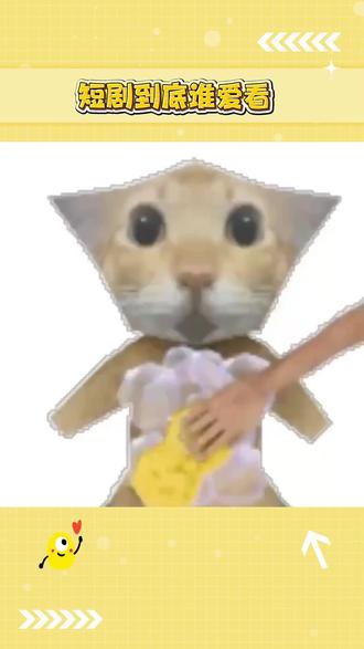 短剧到底谁爱看啊#追剧 #红果短剧 #你的短剧搭子