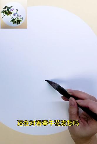 小白也能看会的写意牵牛花教程来了#画画其实很简单 #美术老师 #国画教程 #每日一画