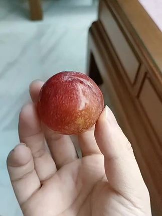 #强烈推荐 #口感特别好 #快来一起尝个鲜 #应季水果 #优质水果