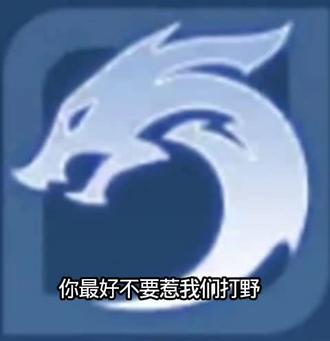 最好不要惹我们打野玩家