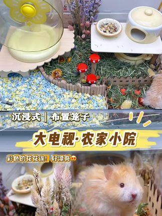 给小仓鼠布置一个专属的农家小院~ #造景 #洗笼子 #布置笼子 #仓鼠 #金丝熊