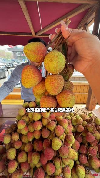 哈尔滨荔枝文化节在江上城堡举行啦#哈尔滨荔枝旅游文化节 #江上城堡#哈尔滨荔枝节