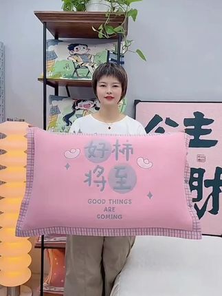 6.98元到手一对枕头套 #好物推荐 #面料柔软舒适 #超便宜超划算 #爆款热卖中 #好东西一起分享