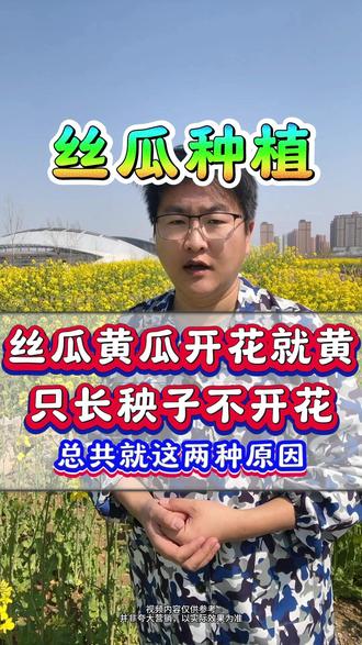 丝瓜黄瓜开花就黄,只长秧子不开花,总共就这俩原因。 #丝瓜种植 #种丝瓜 #丝瓜种植技术 #丝瓜高产#丝瓜增产#增产增收才是硬道理 #增瓜剂 #底肥#底肥宝