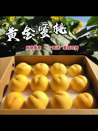 #桃 #蜜桃 #黄金蜜桃 #蜜桃推荐 #蜜桃分享 丹东芒果黄金蜜桃新鲜现摘现发货巨甜爆汁