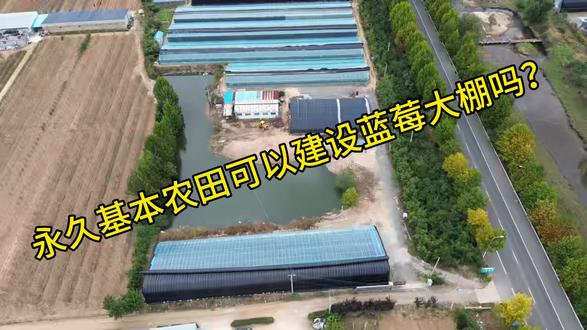 永久基本农田可以建设蓝莓大棚吗?