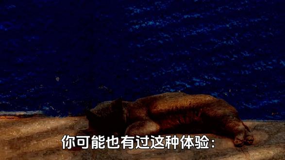 为什么和伴侣一起睡,睡眠质量更高? #思维格局 #认知 #随变ai随便玩
