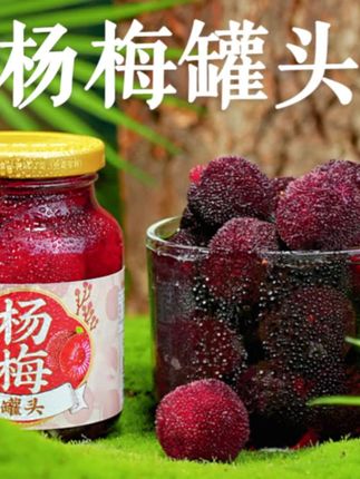 杨梅罐头水果罐头大瓶糖水新鲜果肉颗粒即食零食整箱 #罐头#杨梅罐头 #杨梅 #酸甜可囗 #解馋