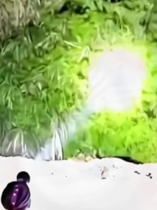 #强光头灯#夜钓灯#户外照明 #便携式工作灯 #多功能头灯