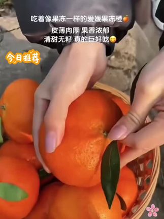 果冻一样的爱媛果冻橙#口感特别好 #新鲜采摘 #强烈推荐