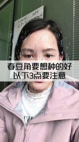 春豆角要想种的好,以下3点要注意#豇豆种植