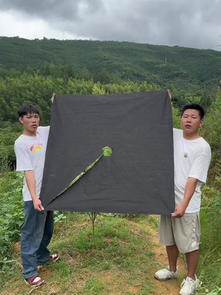 你吃土的时候没有人问你苦不苦,你吃肉的时候总会有人问你香不香。#防草布 #三农 #果树种植 #服务三农支持三农