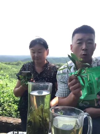 茶叶品质好不好?关键看产地!这款来自原生态山地的新茶别错过!#召唤茶友#茶叶#茶生活#高山茶#炒青绿茶