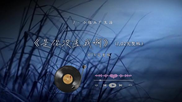 连靠近都怕打扰你的傻瓜 都变成笑话 《是你没选我啊》KTV完整版 #音乐分享 #是你没选我啊 #伤感歌曲推荐分享 #ktv唱哭全场