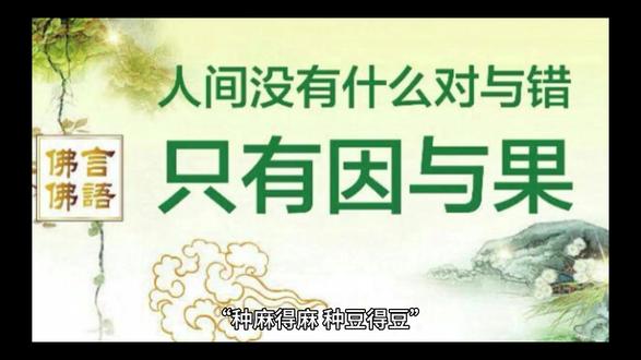 增广贤文151种麻得麻 种豆得豆#传扬中华文化