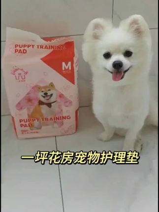 #宠物尿垫 #【一坪花房训导尿垫】 加厚宠物吸水舒缓尿片诱导锁水#萌宠好物@抖音小助手