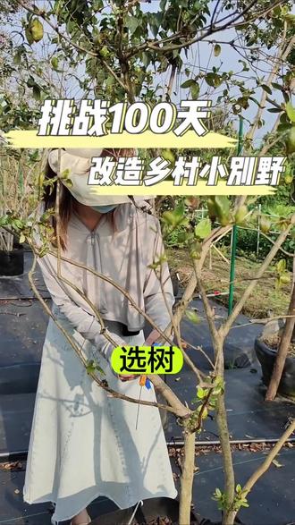 挑战装修的第n个工种,今天是园林小白
夏天种树,水土容易流失,水分蒸发的快,特别是我们移栽的树苗,或者是景观树,因为树的植物需要的养分比较多,水分在夏天的时候蒸发的很快,树移栽以后需要的营养成分也是很多的,很高的,树的根系也需要很多的水分,夏天,天气比较热,水分蒸发的比较快#旧房改造 #苗圃#园林设计 #小院改造