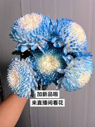 全新疆西藏北方可发