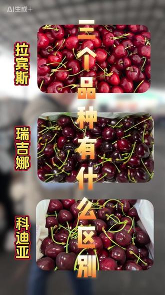 这三个车厘子品种有什么区别? #智利车厘子#备年货#拉宾斯 #科迪亚 #车厘子自由