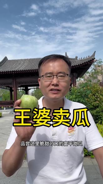 谈谈王婆卖瓜 谈谈王婆卖瓜故事由来#王婆#哈蜜瓜#富平甜瓜#甜瓜#国家地理标志产品