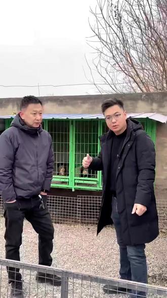 狗精灵宠物精子银行:母犬想健康繁殖,一定要保证气血充足 #宠物健康
#犬繁殖
#狗妈妈
#犬舍
#狗精灵宠物医院