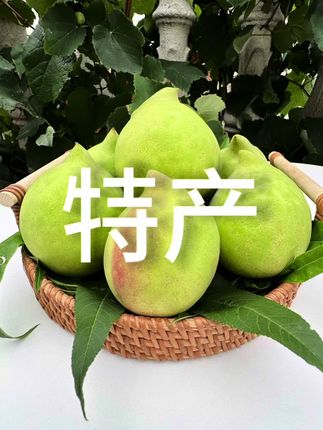 新号开播,实惠多多#开远鹰嘴桃