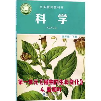四下科学实验视频#科学教育 教科版科学四年级下册第一单元《植物的生长变化》#植物科学基础