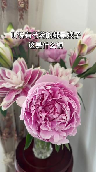 好想去菏泽看一次遍地都是芍药的花开盛宴 最爱的花