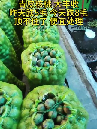 #优质农产品#好吃不贵经济实惠 #新鲜青皮核桃 #新鲜采摘新鲜发货 #孕妇零食推荐