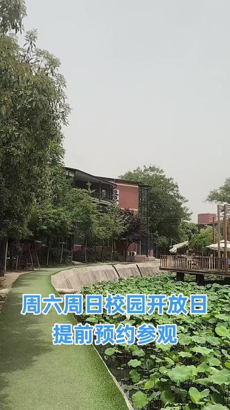 #春暖花会开 考不上高中,这里让你圆大学梦
