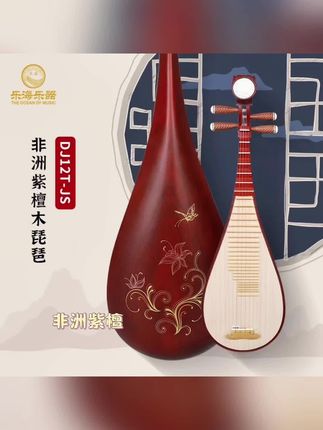 #好物推荐🔥 【初学花梨木】乐海琵琶乐器初学者入门多款可选非洲紫檀花梨木材质#好产品一起分享