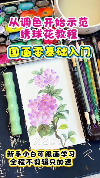 从调色开始示范绣球花教程,零基础入门小白国画入门教程 #百young非遗计划 #非遗守护人 #安之国画 #非遗文化 #一见爱上传统文化