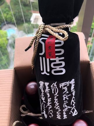 #詹姆斯中国行