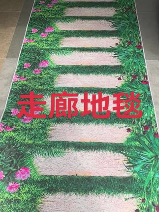 玄关走廊地毯 走廊地毯,玄关地毯#走廊地毯 #玄关地毯 #过道地毯 #定制地毯 #长条地毯 @抖音小助手 @巨量千川