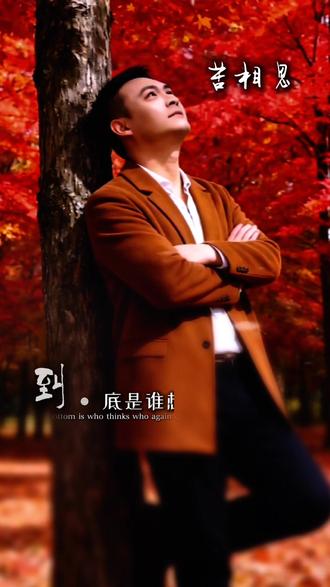 梦里的人,到底是谁在想谁?