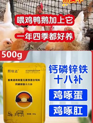 #三农养殖 #科学养鸡 #生态散养土鸡 养鸡人都在用的钙磷十八补,你买了吗?