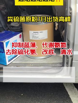 粪硫菌原粉适合高密度养殖基地#加州鲈鱼养殖 #黄颡鱼养殖 #南美白对虾养殖 #小棚养虾 #大闸蟹养殖