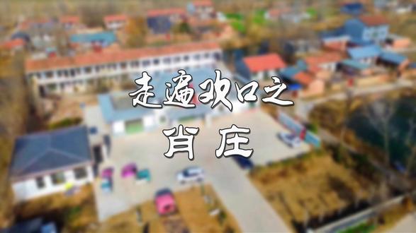 肖庄 位于欢口镇往西三公里处,其历史可追溯至明朝英宗年间,因肖姓先祖来此占产立庄而得名,是一个拥有数百年历史的古老村落 。1958年建肖庄大队,1983年改为村委会,2001年原董堂村并入,形成了如今的规模 。
小时候总觉得世界很大,想出去看看欢口以外的天;长大后才发现,世界再大,大不过肖庄东队那条回家的路 。无论外人如何评价,肖庄----在我心中都是最美的风景 。如今的肖庄,日子在继续,生活也在变好 。但最怀念的,还是那个端着碗在门口吃饭、邻居路过能聊上半天的旧时光。
无论时代如何变迁,肖庄村始终以它独有的宁静与包容,守望着每一位游子的归来。
如果你也想念肖庄,记得常回来看看。至少多看看我的视频~#丰县欢口镇 #村庄航拍 #记录家乡 #农村老家 #美丽乡村