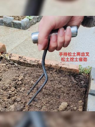 手持松土两齿叉,专利产品模仿必究 松土工具挖土神器省劲不伤根系 #种菜 #园艺工具 #农用工具 #松土 #松土神器