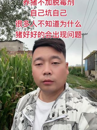 养猪省钱 最后出现问题。是一定有原因的。#养猪人 #自繁自养 #所有养猪人 #养猪人加油干 #养猪人不容易