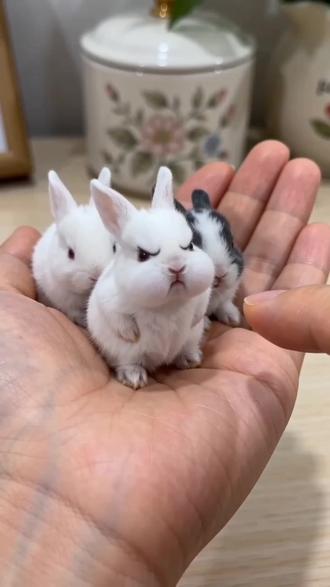 #AI掌心小人的小烦恼 #随变ai随便玩