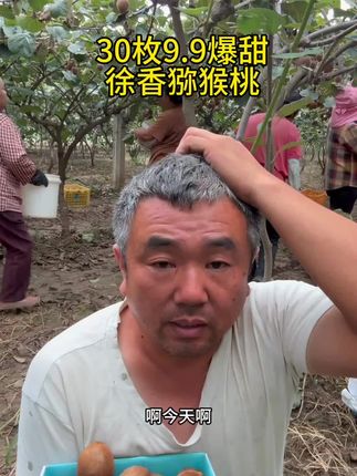 #猕猴桃 #徐香猕猴桃