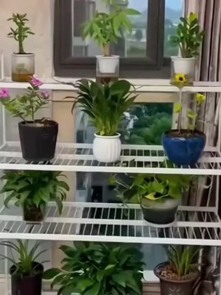 这个阶梯式碳钢花架让绿植们有了新家,阳台秒变氧吧,幸福感爆棚!#家居好物 #绿植爱好者#碳钢花架 #多层花架#可移动多层花架 @DOU+小助手 @巨量千川