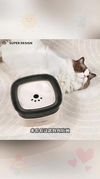 狗狗水碗 休普悬浮喝水碗狗狗不湿嘴狗碗漂浮小狗饮水器大型犬宠物浮力水碗#水碗选择 #悬浮水碗 #悬浮设计 #水碗设计 #宠物水具